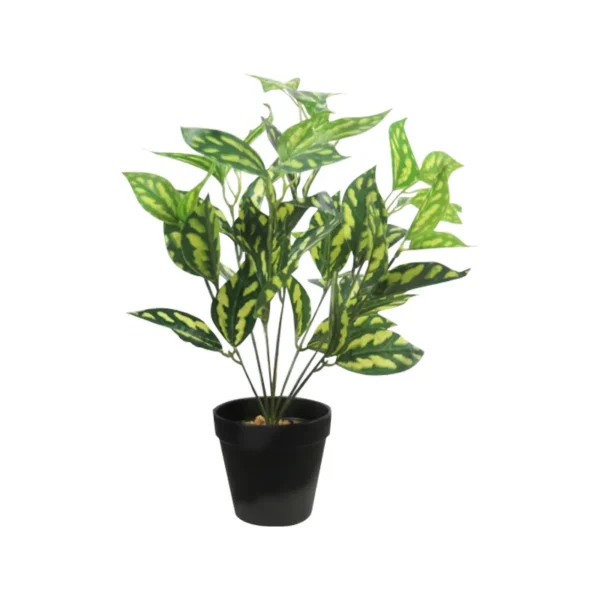 PLANTA 36CM
