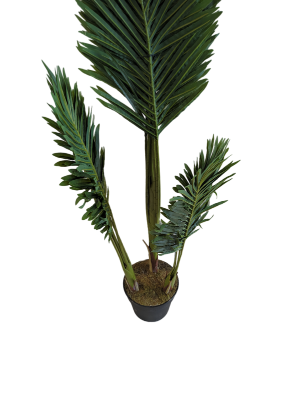 PALMERA 150CM - Imagen 4