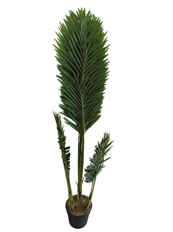 PALMERA 150CM - Imagen 2