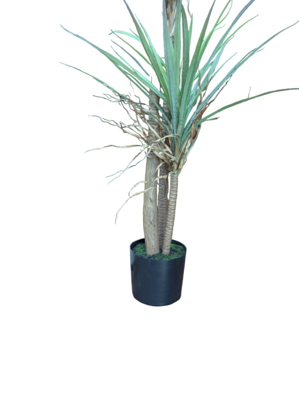 PLANTA 182CM - Imagen 3