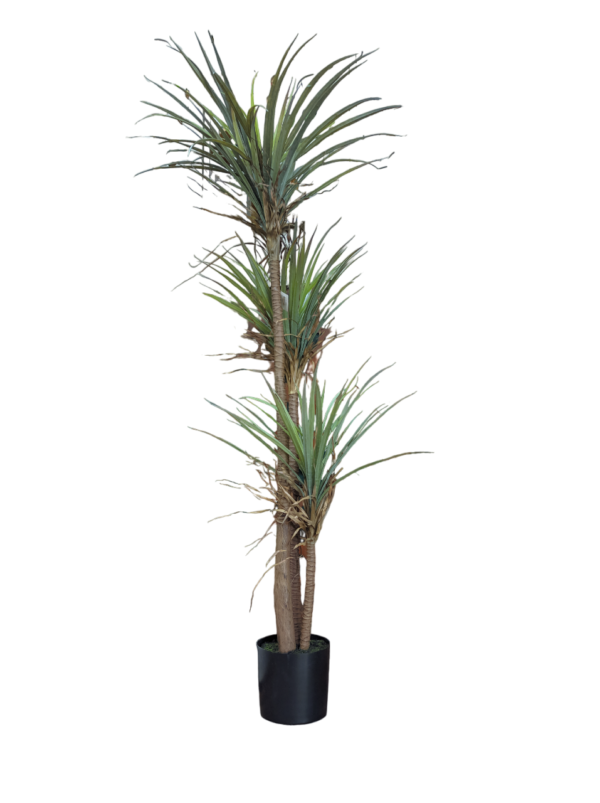 PLANTA 182CM - Imagen 2
