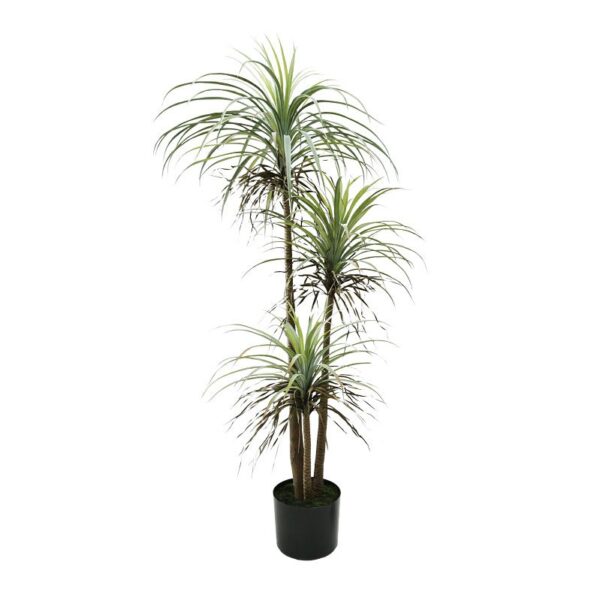 PLANTA 182CM